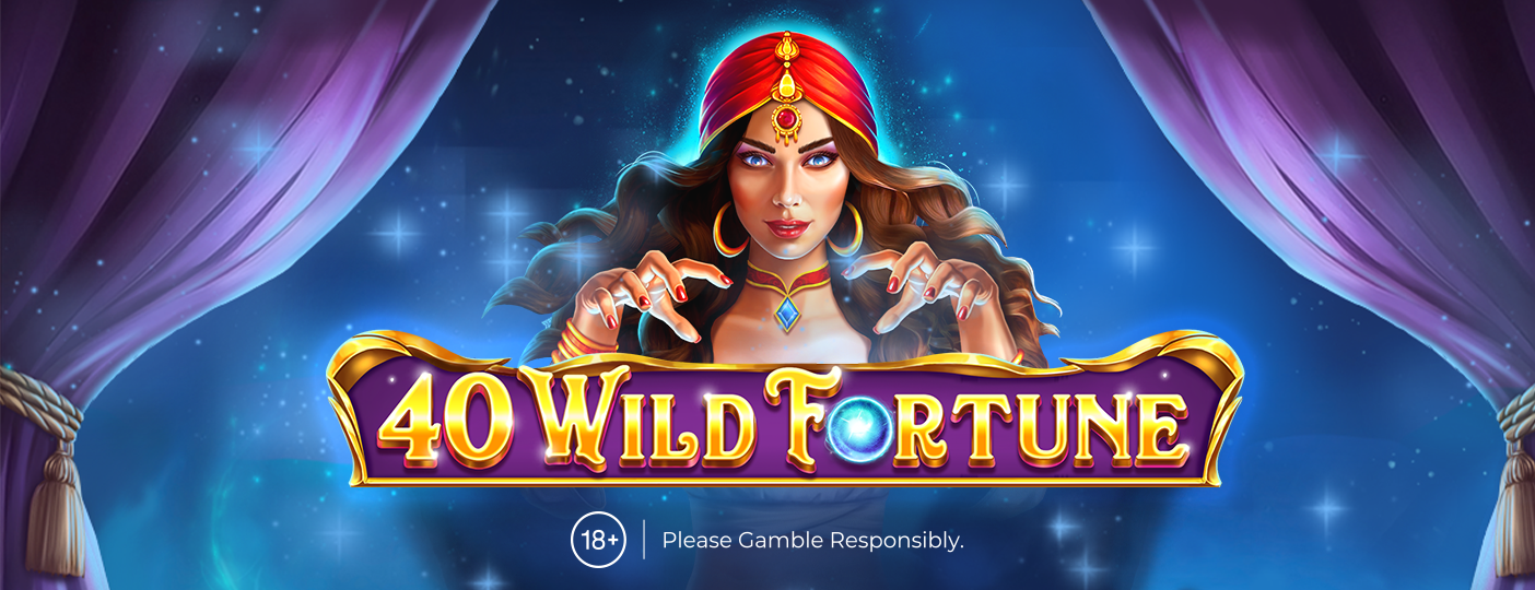 Wild Fortune Casino Interface on Mobile and Desktop