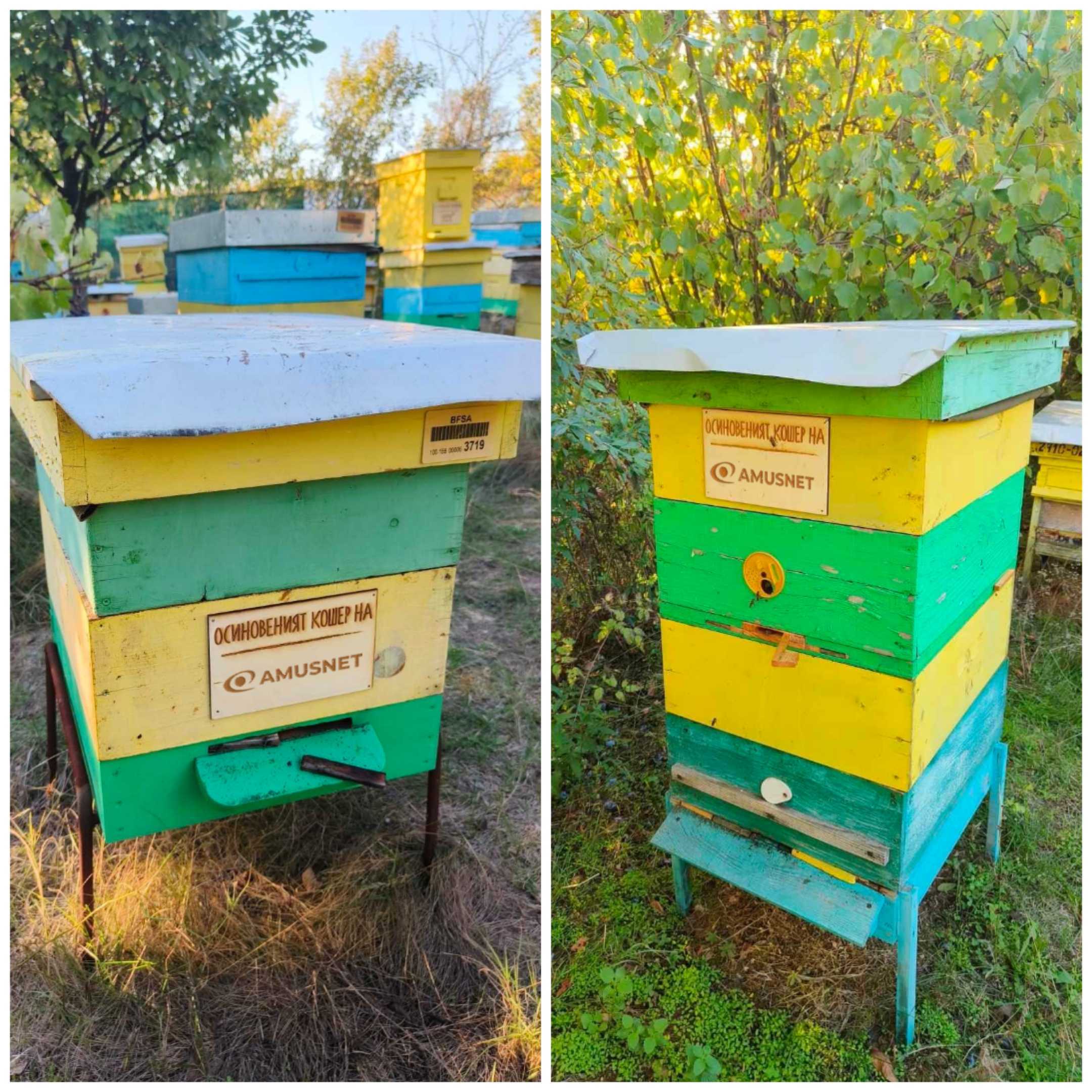 Growing Together Amusnet & Istinski Med